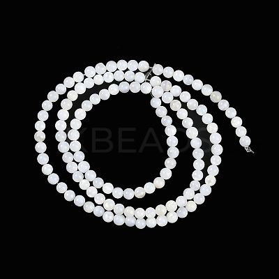 Natural Cultured Freshwater Shell Beads Strands BSHE-H109-03A-1