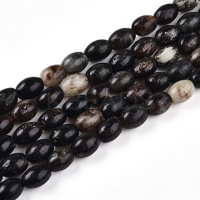 Natural Biotite Beads Strands G-N346-02B-02-1