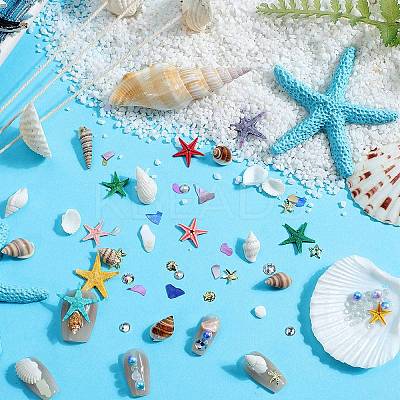 Ocean Theme Natural Shell & Resin & Plastic & Alloy Nail Art Decoration MRMJ-CP0001-34A-1