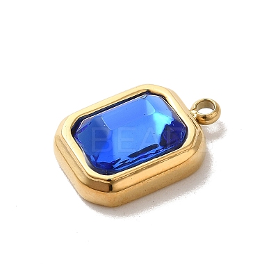 304 Stainless Steel Glass Pendants STAS-L022-062G-07-1