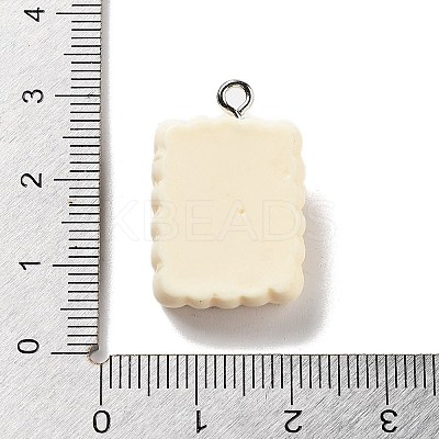 Cookies Theme Imitation Food Resin Pendants RESI-B021-02C-05-1