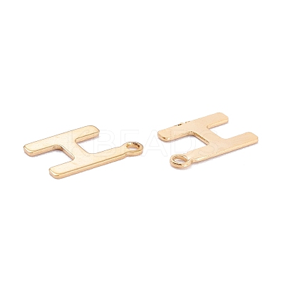 201 Stainless Steel Charms LS-STAS-C021-06G-H-1