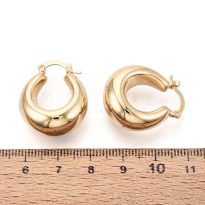 Brass Hoop Earrings KK-T080-94G-1
