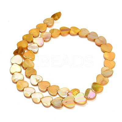 Natural Freshwater Shell Beads Strands SH-CBA93AD-06B-1
