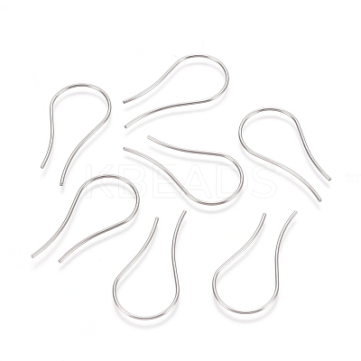 Tarnish Resistant 304 Stainless Steel Earring Hooks X-STAS-E482-20P-1