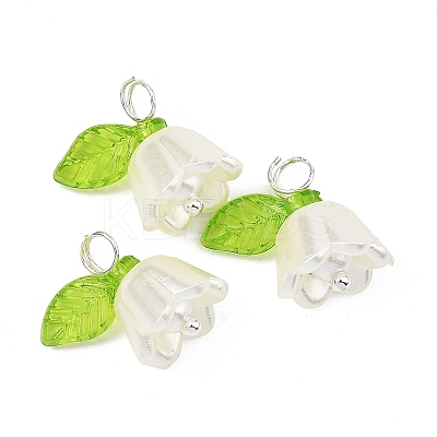 Acrylic with ABS Plastic Imitation Pearl Pendants PALLOY-JF05659-12-1