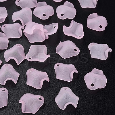 Transparent Acrylic Beads LS-X-MACR-S373-106-D05-1
