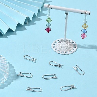 SHEGRACE Brass Earring Hooks XGR0003P-42P-1