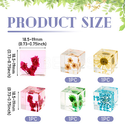 5Pcs 5 Colors Resin Cube Fridge Magnet Home Decoration Accessoriesa FIND-TA0005-87-1