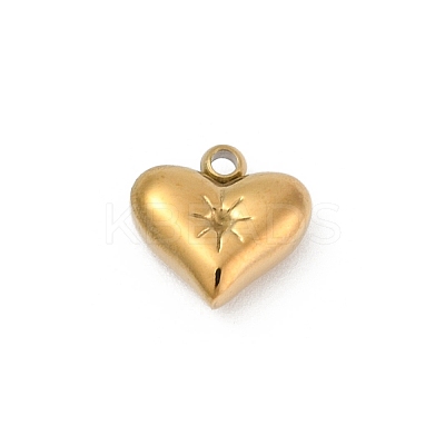 304 Stainless Steel Pendants STAS-L283-23G-1