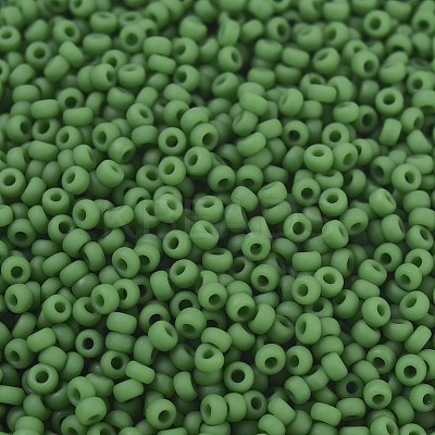 MIYUKI Round Rocailles Beads SEED-G007-RR0411F-1