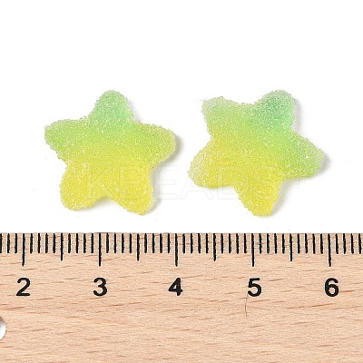 Imitation Candy Food Style Resin Cabochons RESI-R461-02M-1