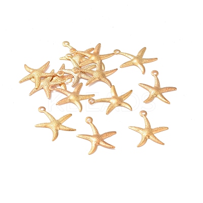 Iron Pendants IFIN-I030-10G-1