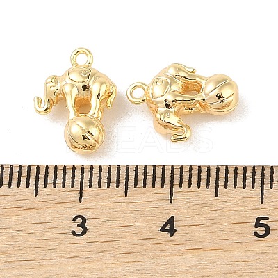 Brass Charms KK-Q816-28G-1