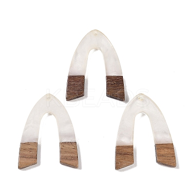 Resin & Wood Pendants WOOD-F015-16H-1