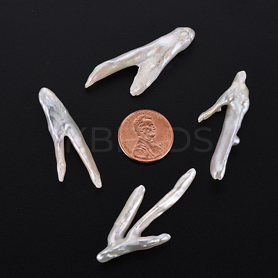 Natural Keshi Pearl Beads PEAR-N020-P01-1