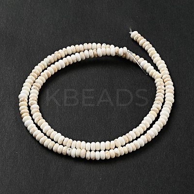 Natural Magnesite Beads Strands G-D474-02B-1