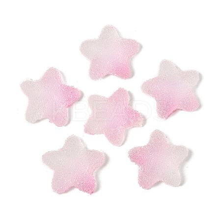 Imitation Candy Food Style Resin Cabochons X1-RESI-R461-02K-1