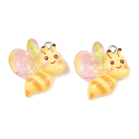 Transparent & Opaque Resin Pendants RESI-P048-02D-P-1