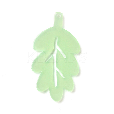 Opaque Acrylic Pendants LS-OACR-H047-02A-02-1