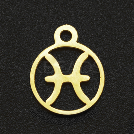 201 Stainless Steel Charms STAS-T014-LA111-12-1