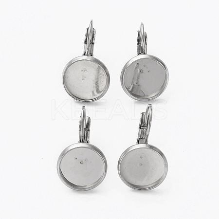 Tarnish Resistant 304 Stainless Steel Leverback Earring Findings LS-STAS-L253-005D-P-1