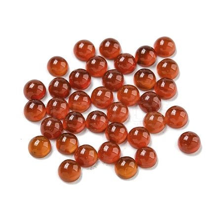 Natural Carnelian Cabochons G-Q173-01A-14-1