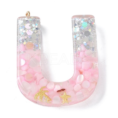 Resin Pendants RESI-B029-01P-U-1