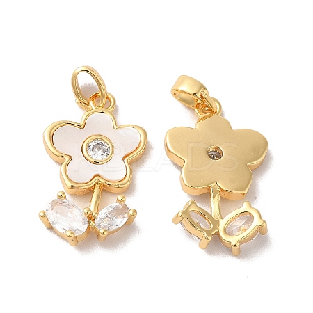 Brass Cubic Zirconia Pendants KK-M243-37G-1