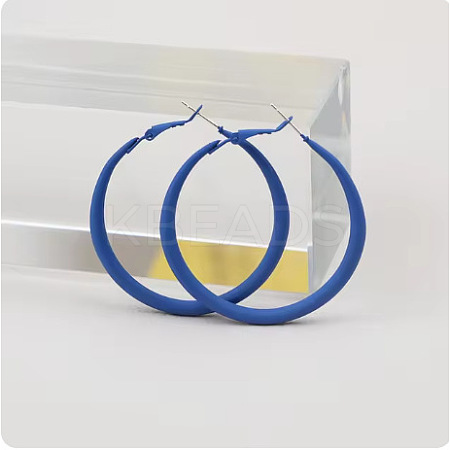 Spray Painted Alloy Hoop Earrings FS-WG43B6B-08-1