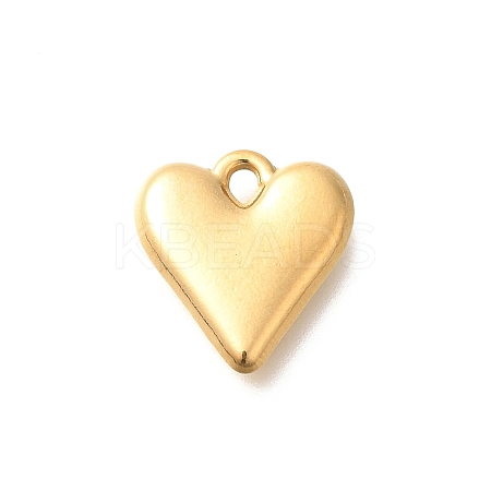 Ion Plating(IP) 304 Stainless Steel Pendants STAS-I321-75G-1