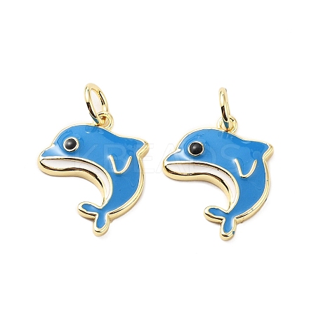 Brass Enamel Pendants KK-L237-027G-03-1