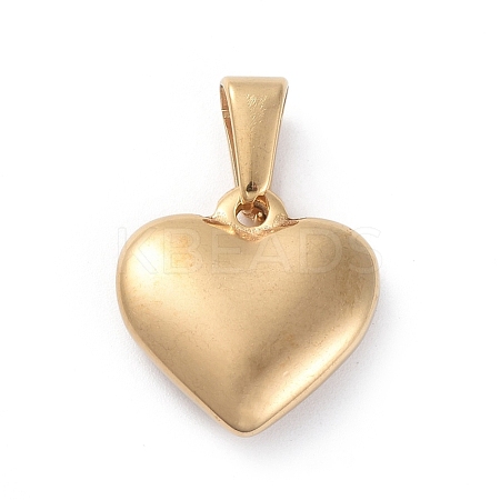 304 Stainless Steel Pendants X-STAS-I127-007G-1