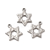 Non-Tarnish 304 Stainless Steel Pendants LS-STAS-Q001-02P-2