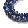 Sodalite Round Bead Strands G-P070-46-6mm-2