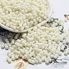 Macaron Color Opaque Frosted Glass Seed Beads SEED-K009-12B-16-1