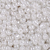 (Repacking Service Available) Glass Seed Beads SEED-C020-4mm-141-2