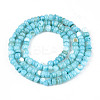 Natural Freshwater Shell Dyed Beads Strands SHEL-T020-29A-02-2