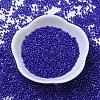 MIYUKI Delica Beads SEED-JP0008-DB0216-3