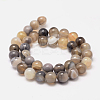 Natural Striped Agate/Banded Agate Bead Strands G-K155-A-10mm-13-3