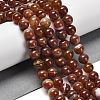 Natural Striped Agate/Banded Agate Beads Strands G-B079-A05-03B-1