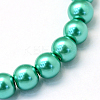 Baking Painted Pearlized Glass Pearl Round Bead Strands X-HY-Q003-4mm-29-2