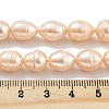Natural Cultured Freshwater Pearl Beads Strands PEAR-P062-13B-5