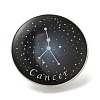 Twelve Constellation Creative Alloy Badges Constellation Brooches LS-JEWB-S033-01P-D-1
