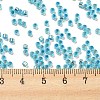 Glass Seed Beads SEED-S042-04A-13-4