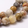 Natural Crazy Lace Agate Beads Strands X-G-D840-70-6mm-3