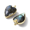 Natural Labradorite Pendants G-G012-11G-06-3