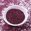 MIYUKI Delica Beads SEED-J020-DB2161-2