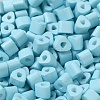 Baking Paint Glass Bead SEED-H002-K-D322-3