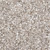 Glass Bugle Beads X-SEED-S032-08A-21-2